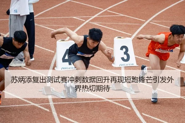 苏炳添复出测试赛冲刺数据回升再现短跑锋芒引发外界热切期待